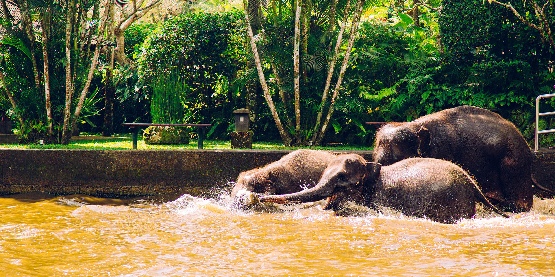 Bali - Adventure_Elephant_0011-2
