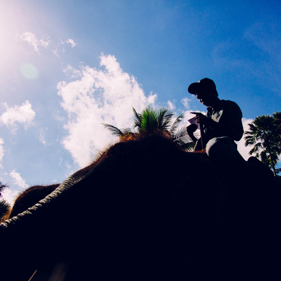 BaliAdventure_Elephant_0163-2