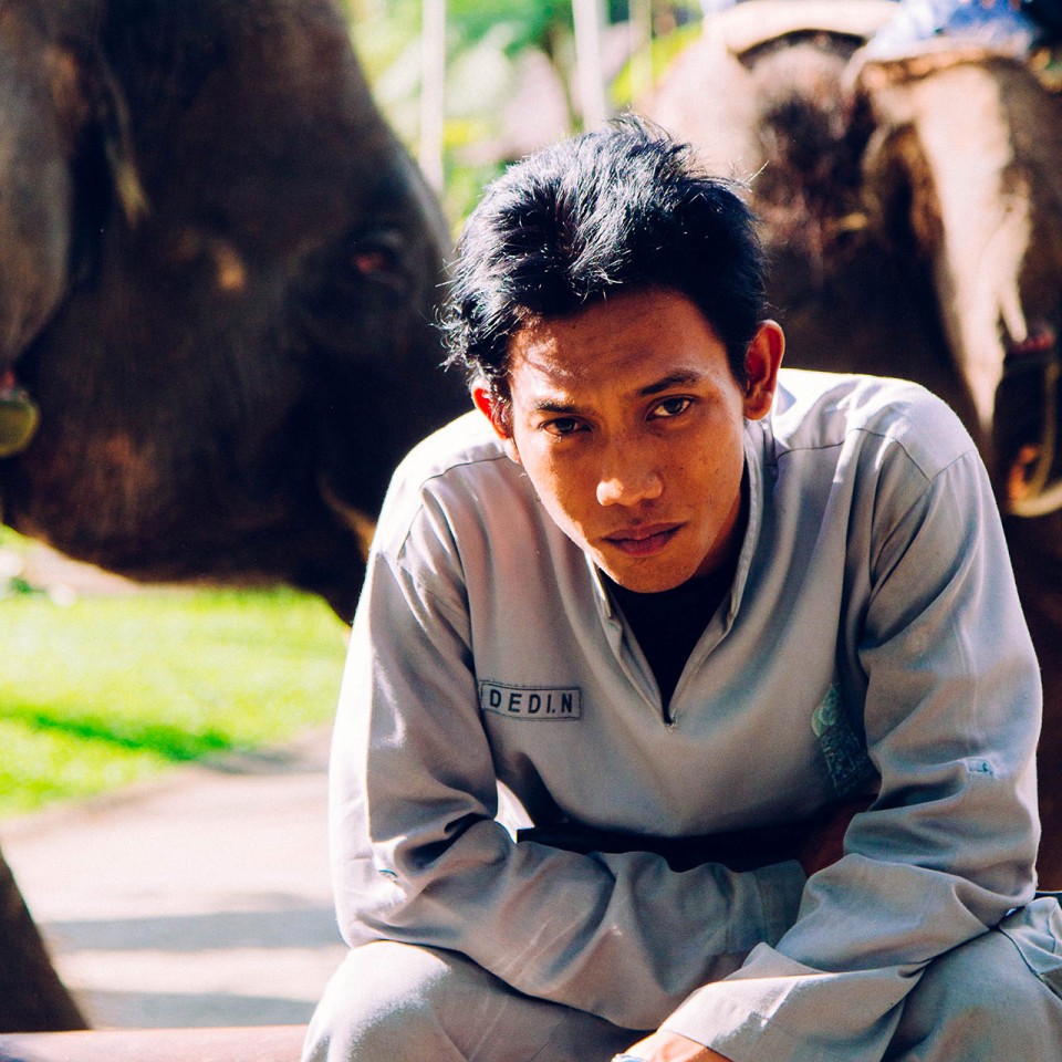 BaliAdventure_Elephant_0215