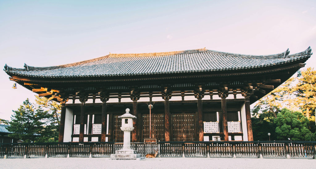 Nara Temple with Deer