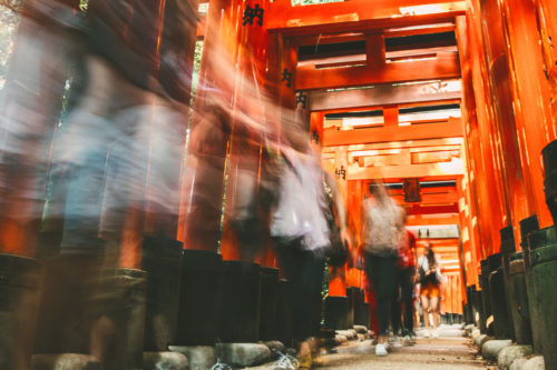 Kyoto Tories Fushimi Inari Shrine