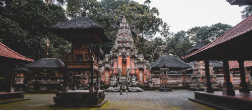 Photography-Ubud-Monkey-Forest