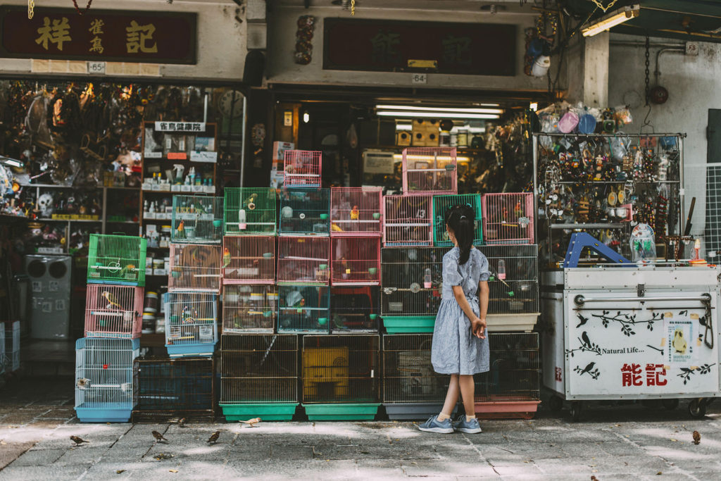 Photography-Hong-Kong-Bird-Market