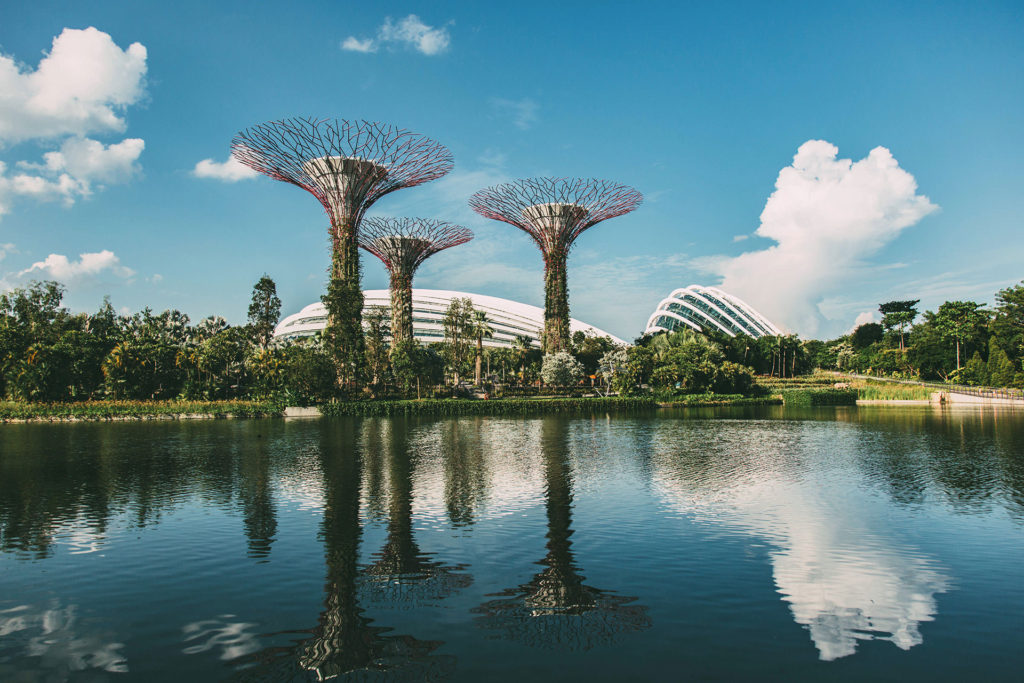 Photography-Singapore-Gardens-by-the-Bay